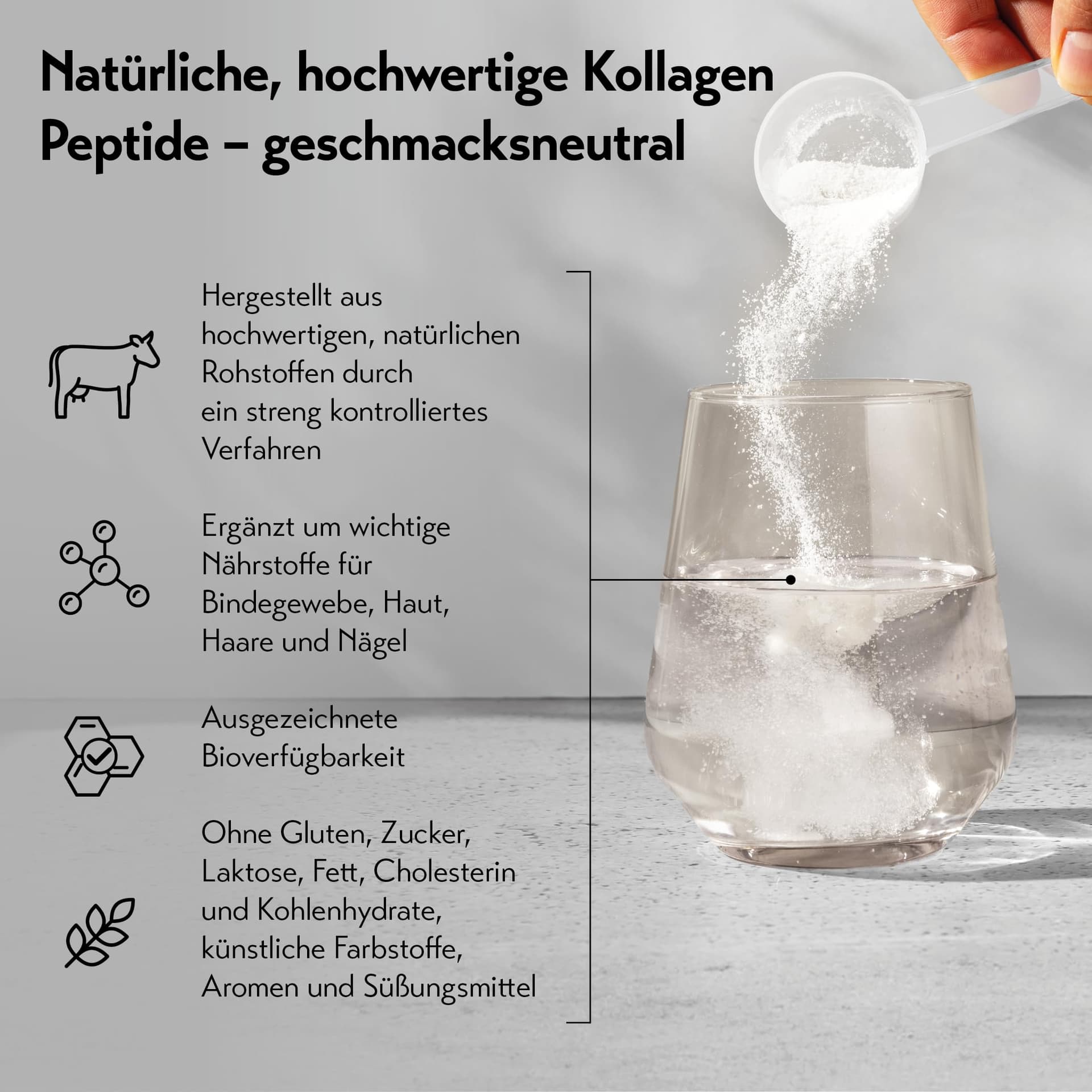 pureSGP® Kollagen [300g – Bild 7