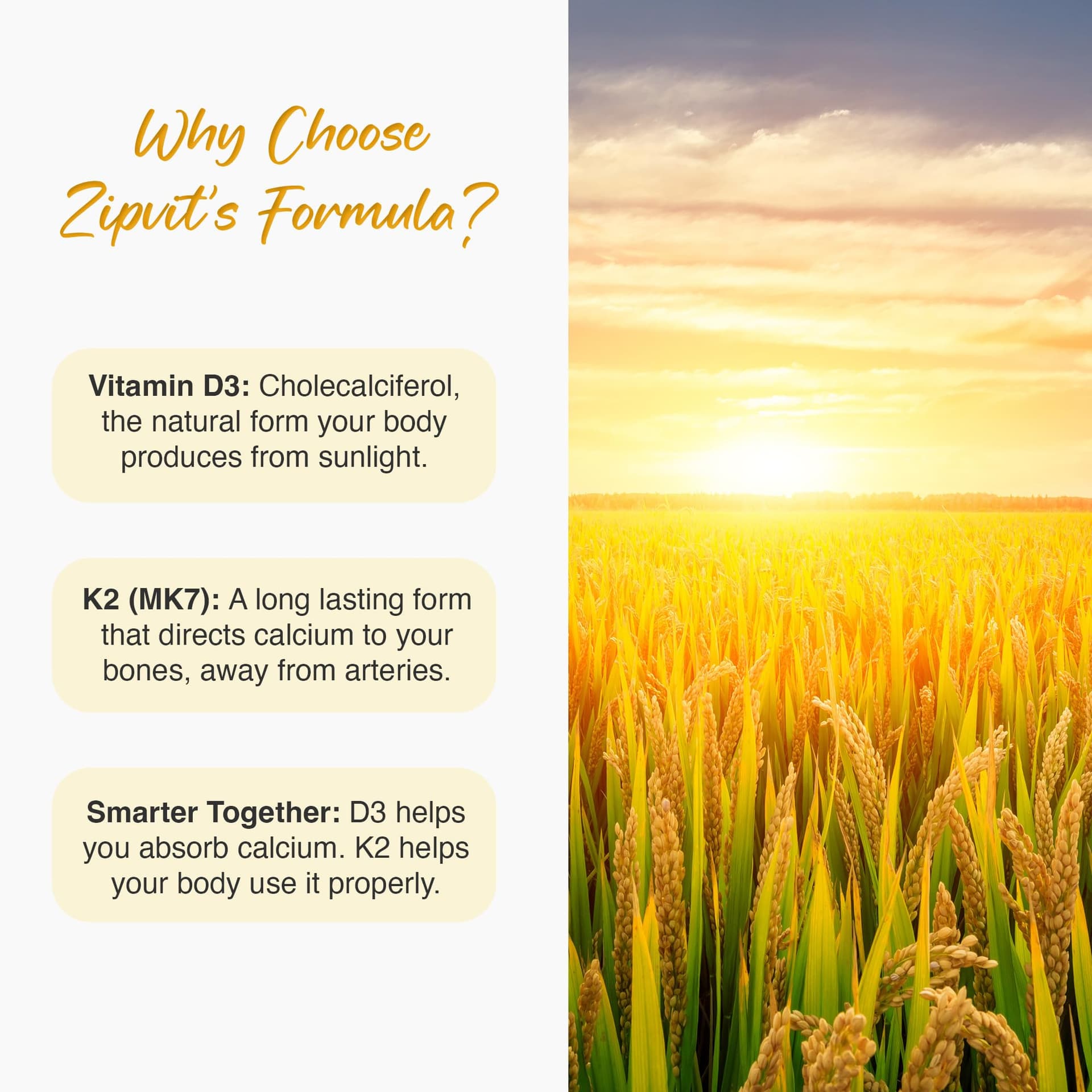 Zipvit Vitamin D3 4000 iu & Vitamin K2 MK7 100μg – Bild 3