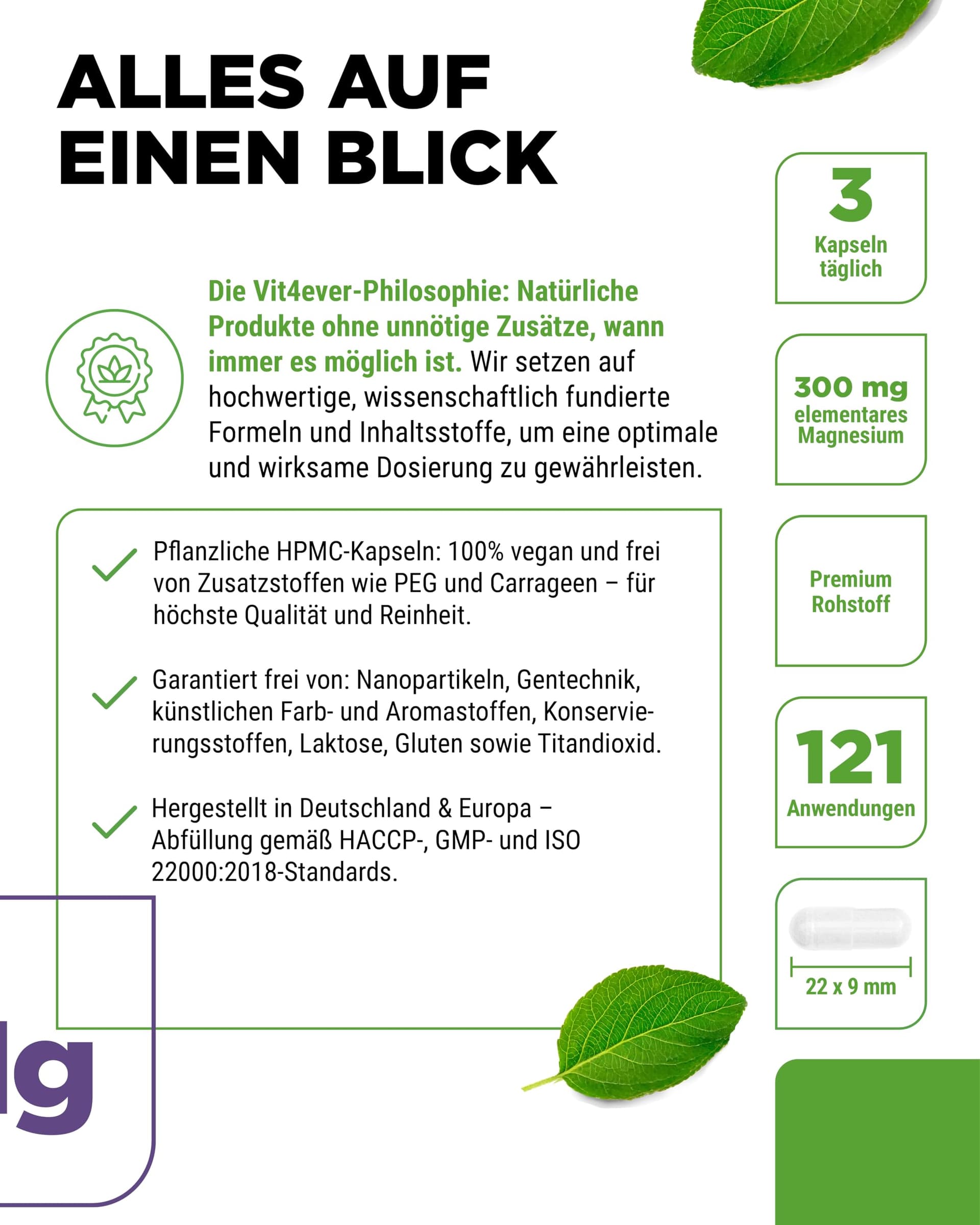Vit4ever Magnesiumbisglycinat - 365 Kapseln – Bild 5