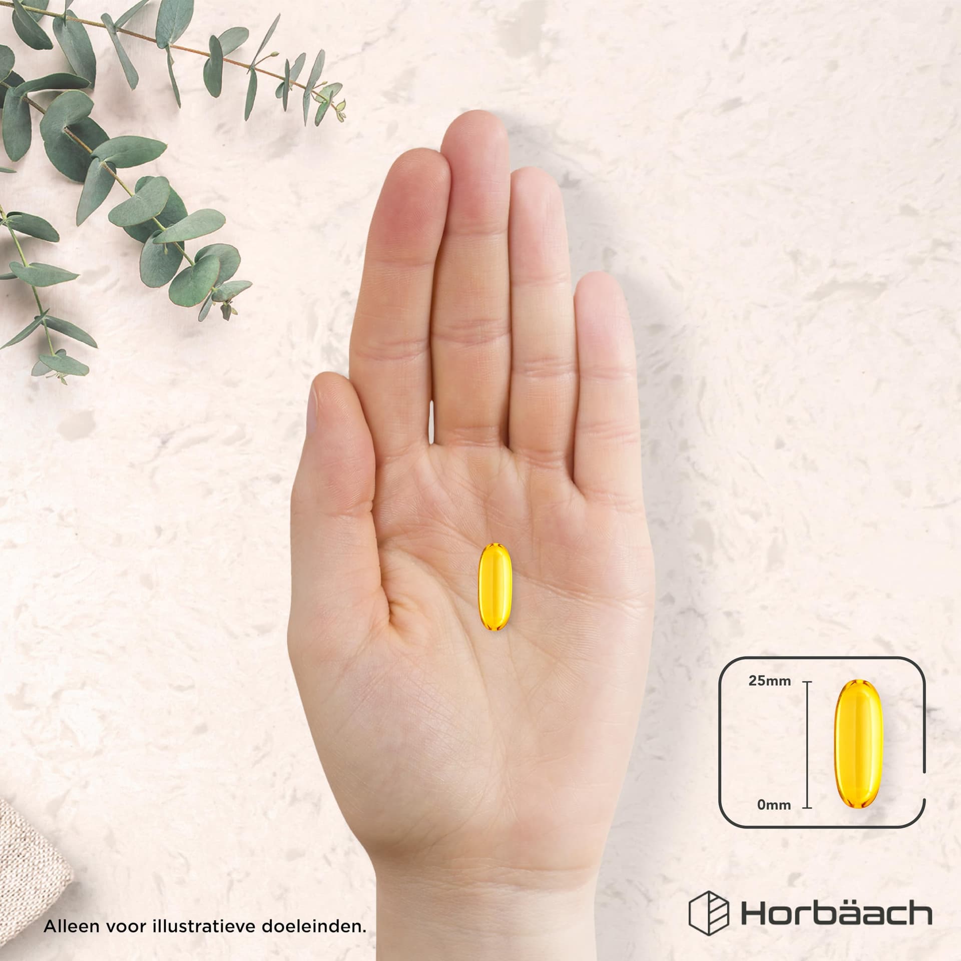 Horbäach Omega 3 Olio di Pesce 3000mg – Bild 8