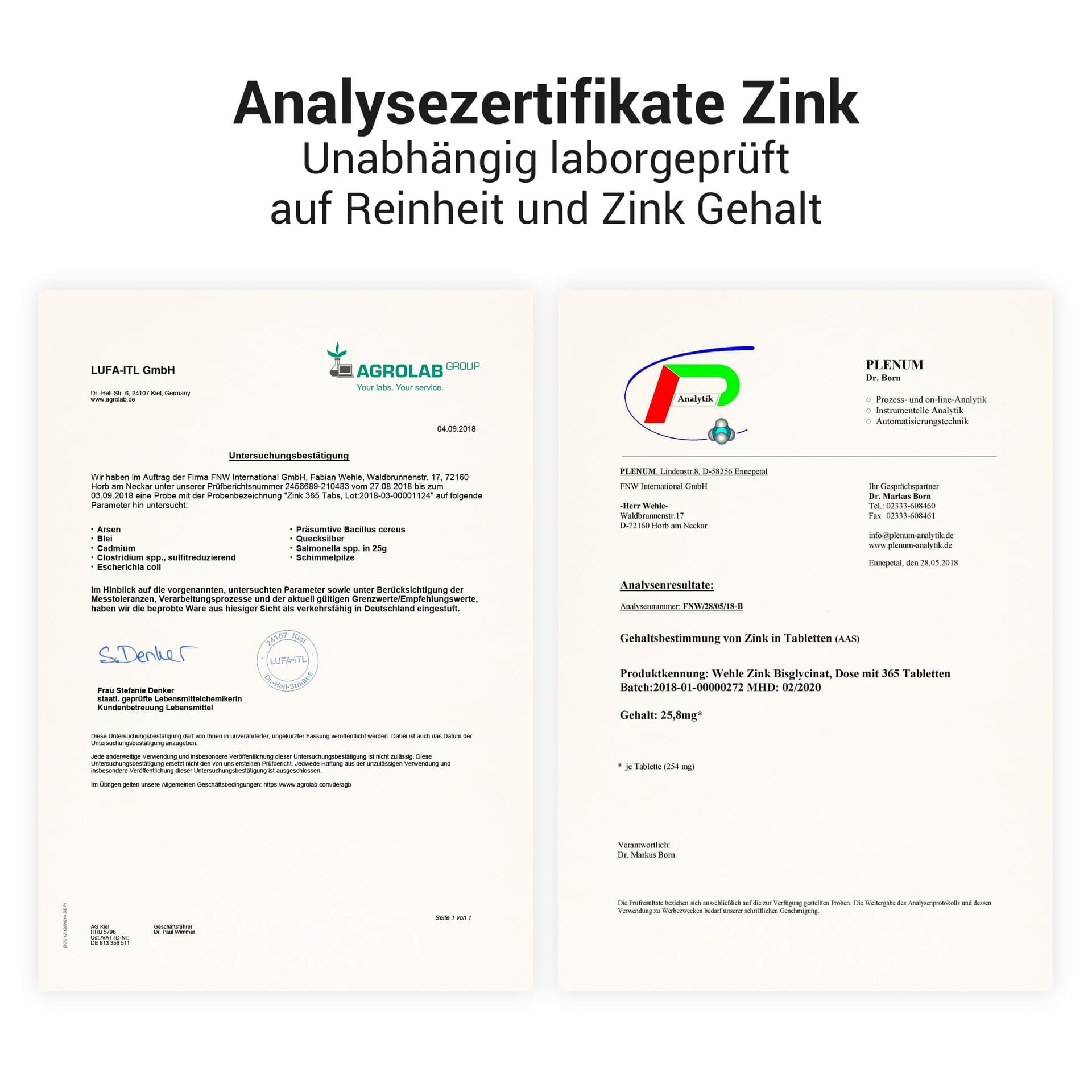 Wehle Sports Wehle Zink Tabletten 365 hochdosiert (25mg – Bild 6