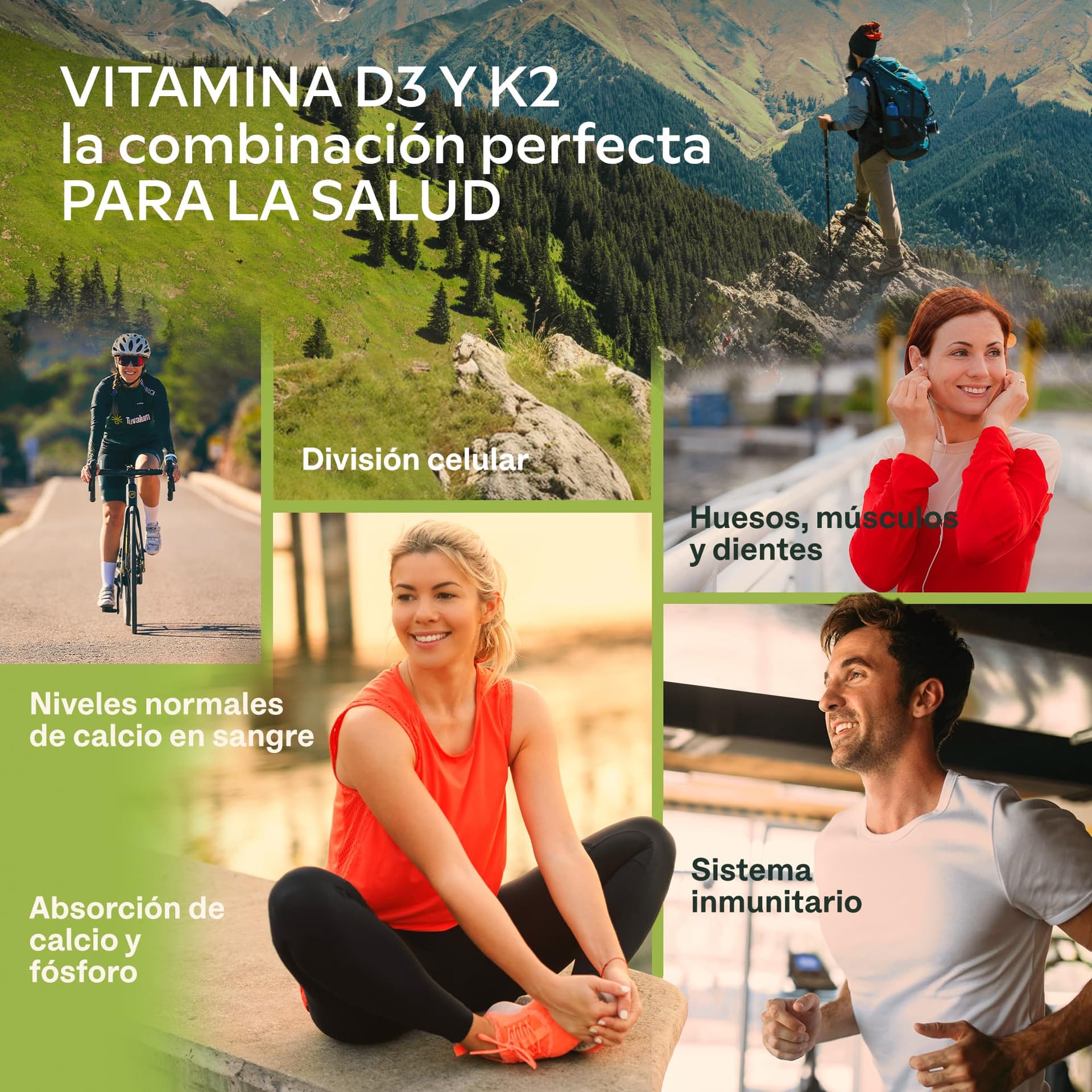 AAVALABS Vitamin D3 K2 MK7 (99.9% All-Trans) with Extra Virgin Olive – Bild 3