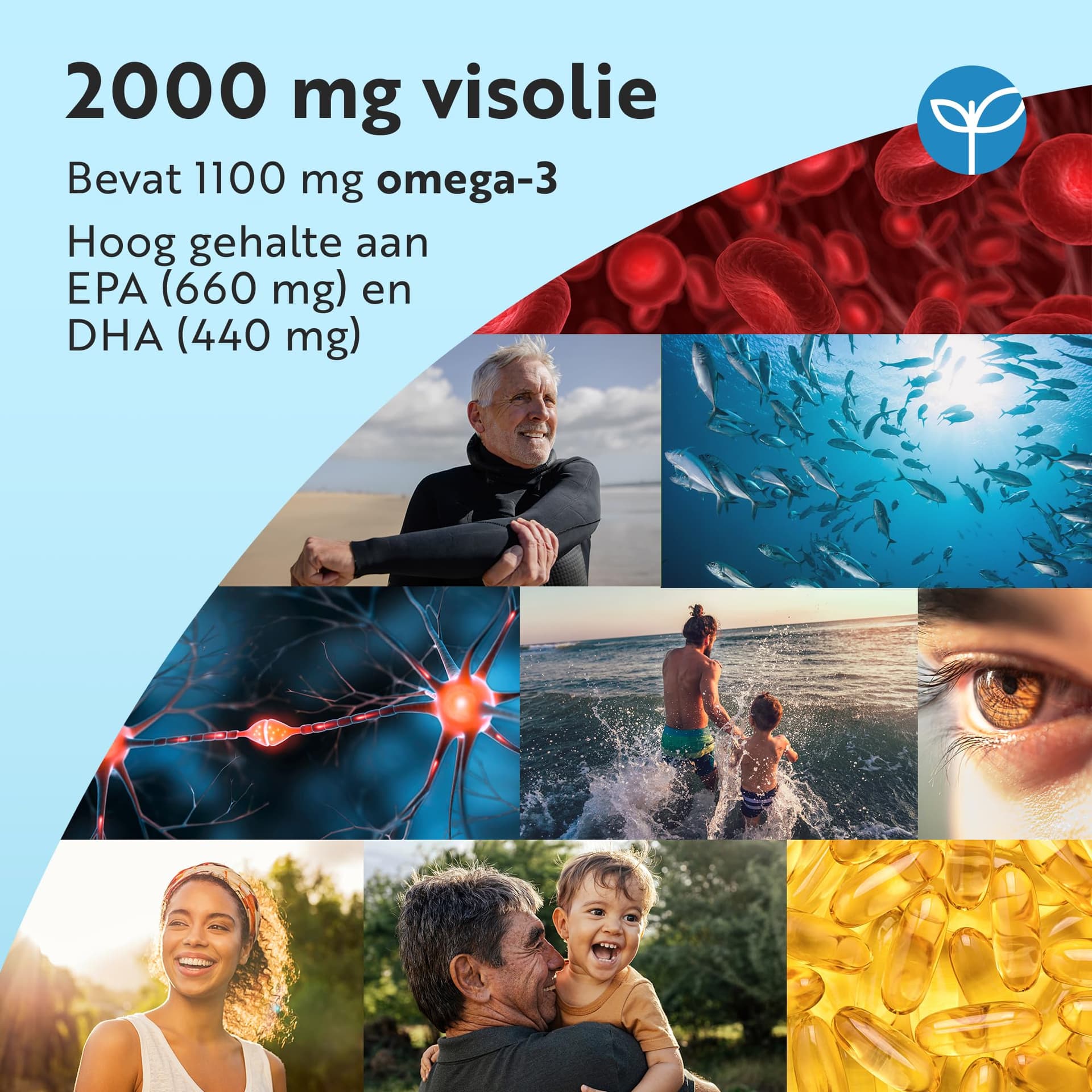 Nutravita Omega 3 Kapseln – Bild 3