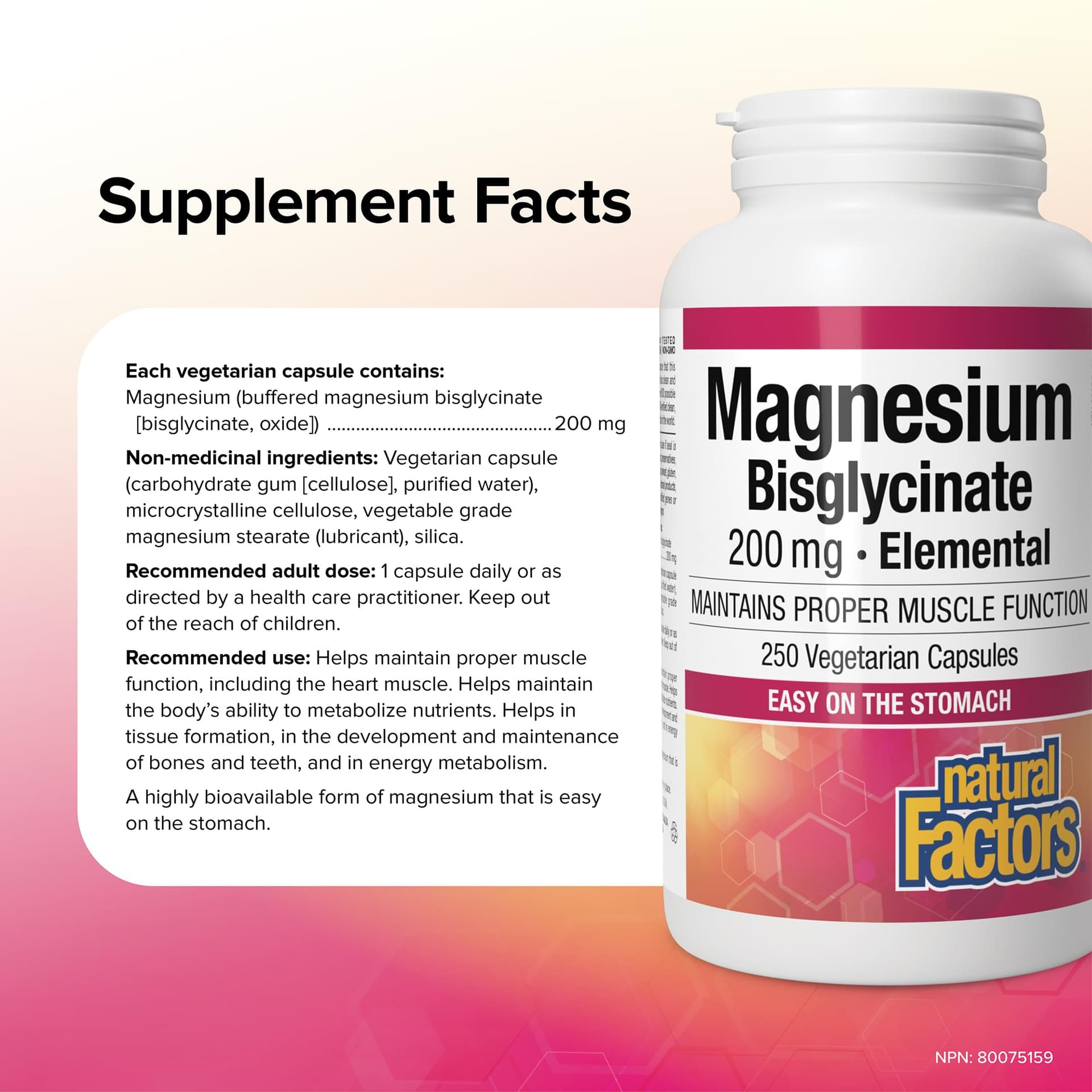 Natural Factors Magnesium Bisglycinate 200mg – Bild 5
