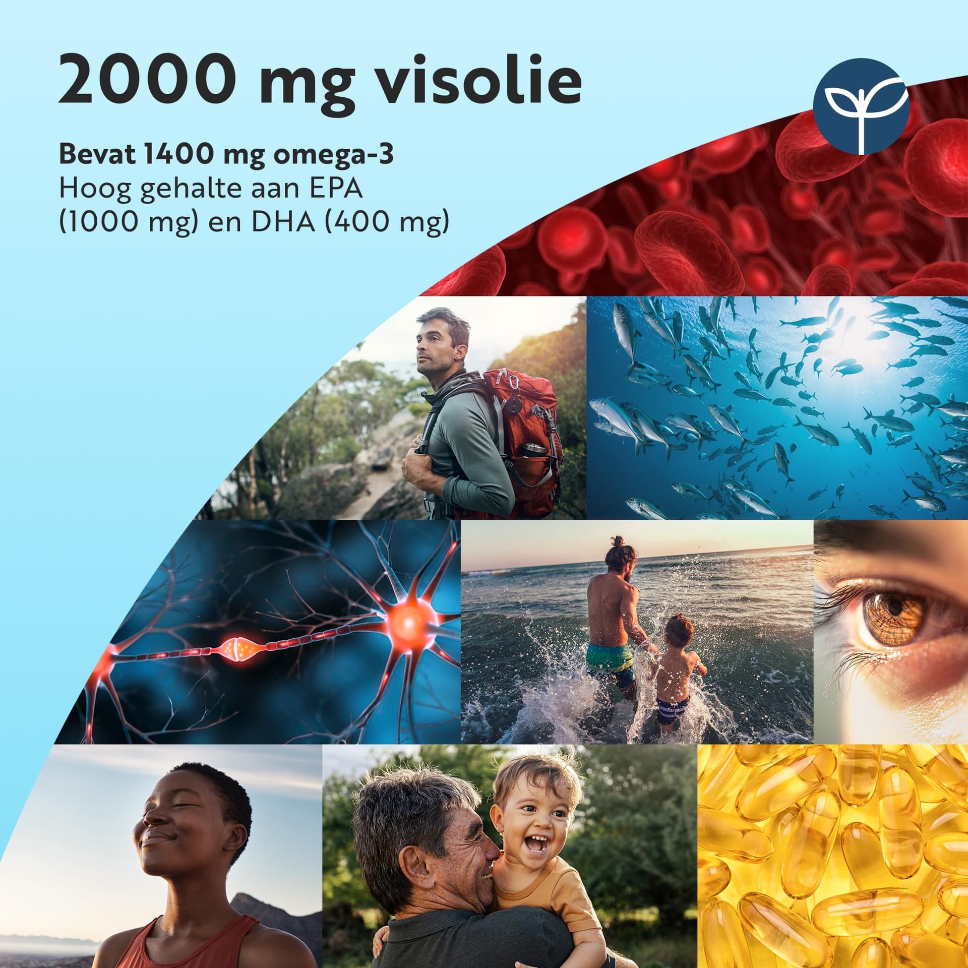 Nutravita Omega 3 Visolie met Hoogste Sterkte 2000 mg – Bild 3