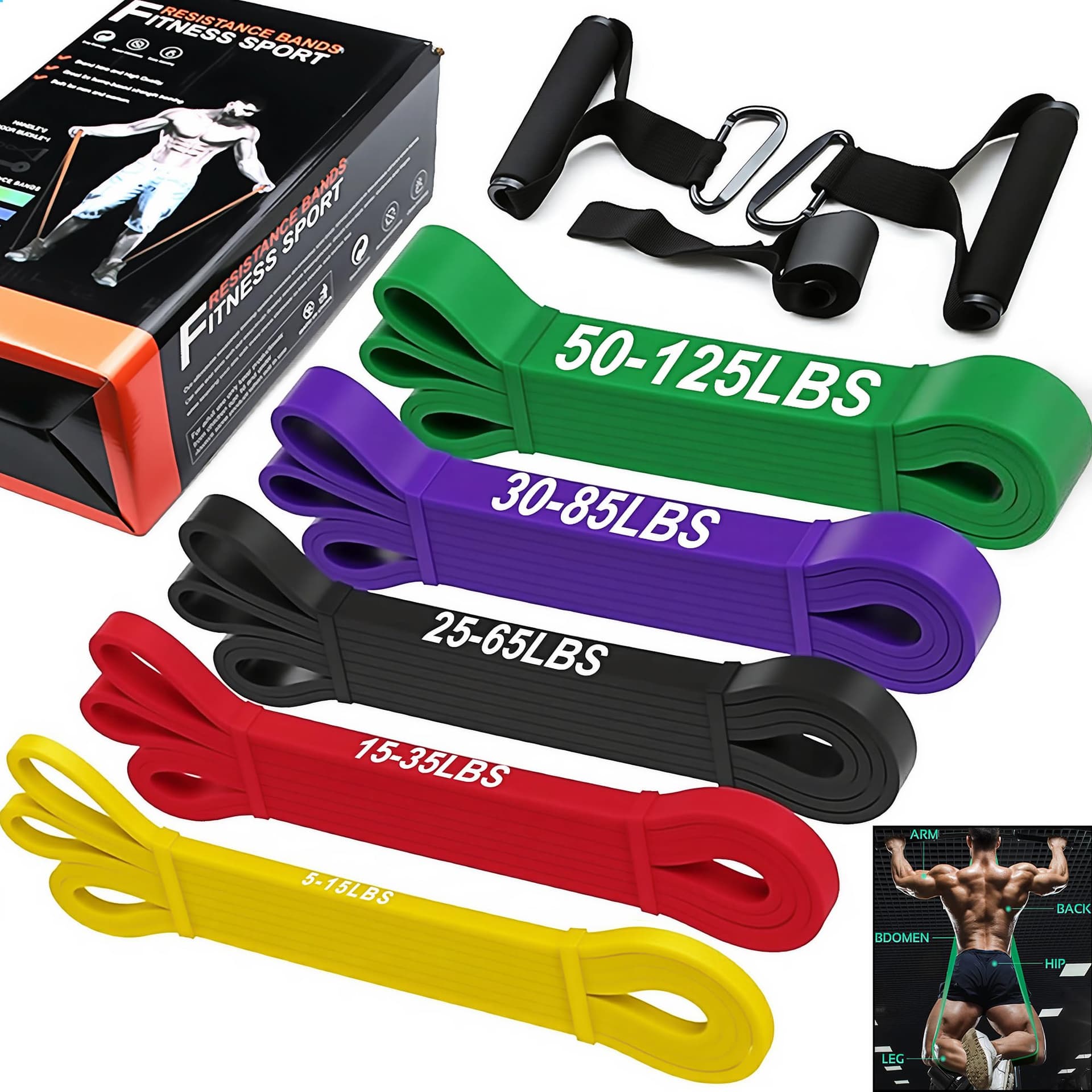 BEDINI Resistance Bands
