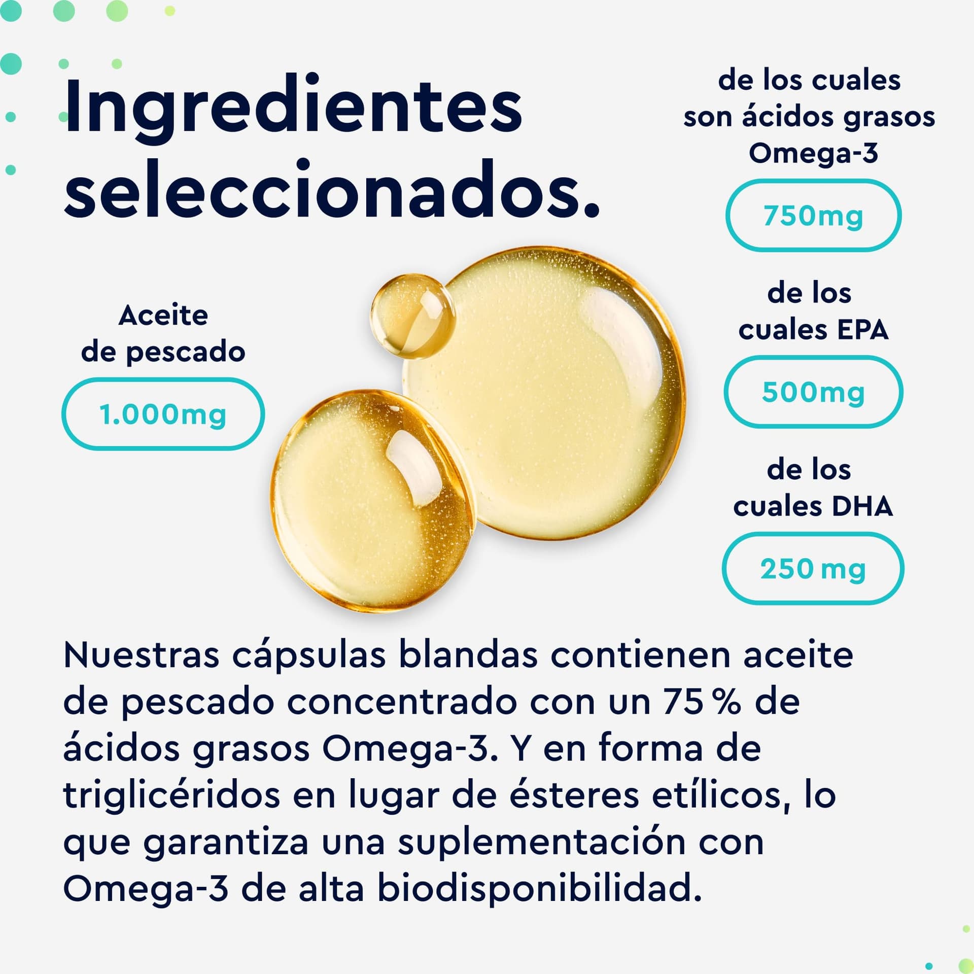 Gloryfeel Premium Omega 3 – Bild 4