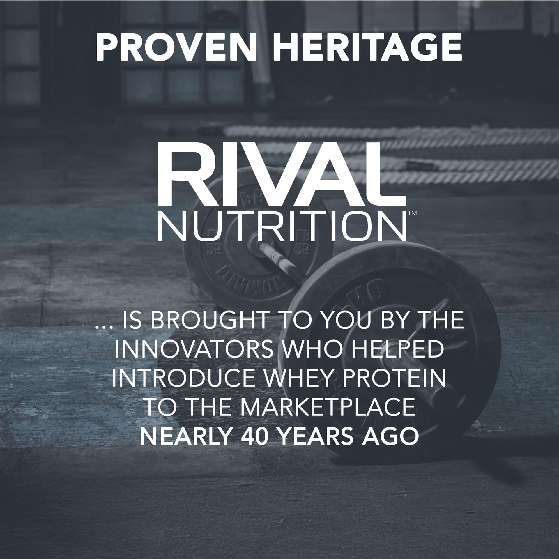 RIVAL NUTRITION Clean Gainer- Chocolate Fudge, 5lbs – Bild 7