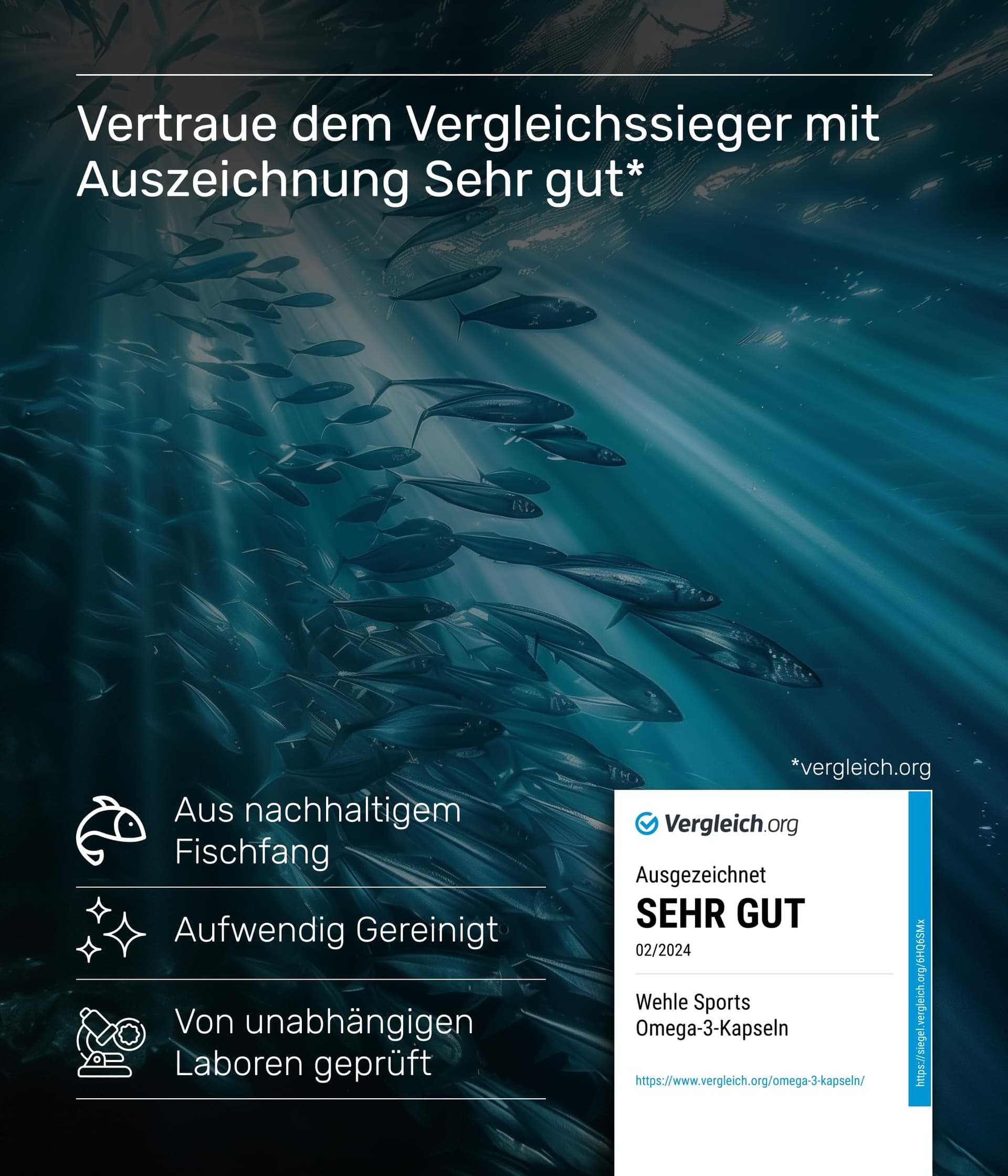 Wehle Sports Omega 3 Kapseln – Bild 3