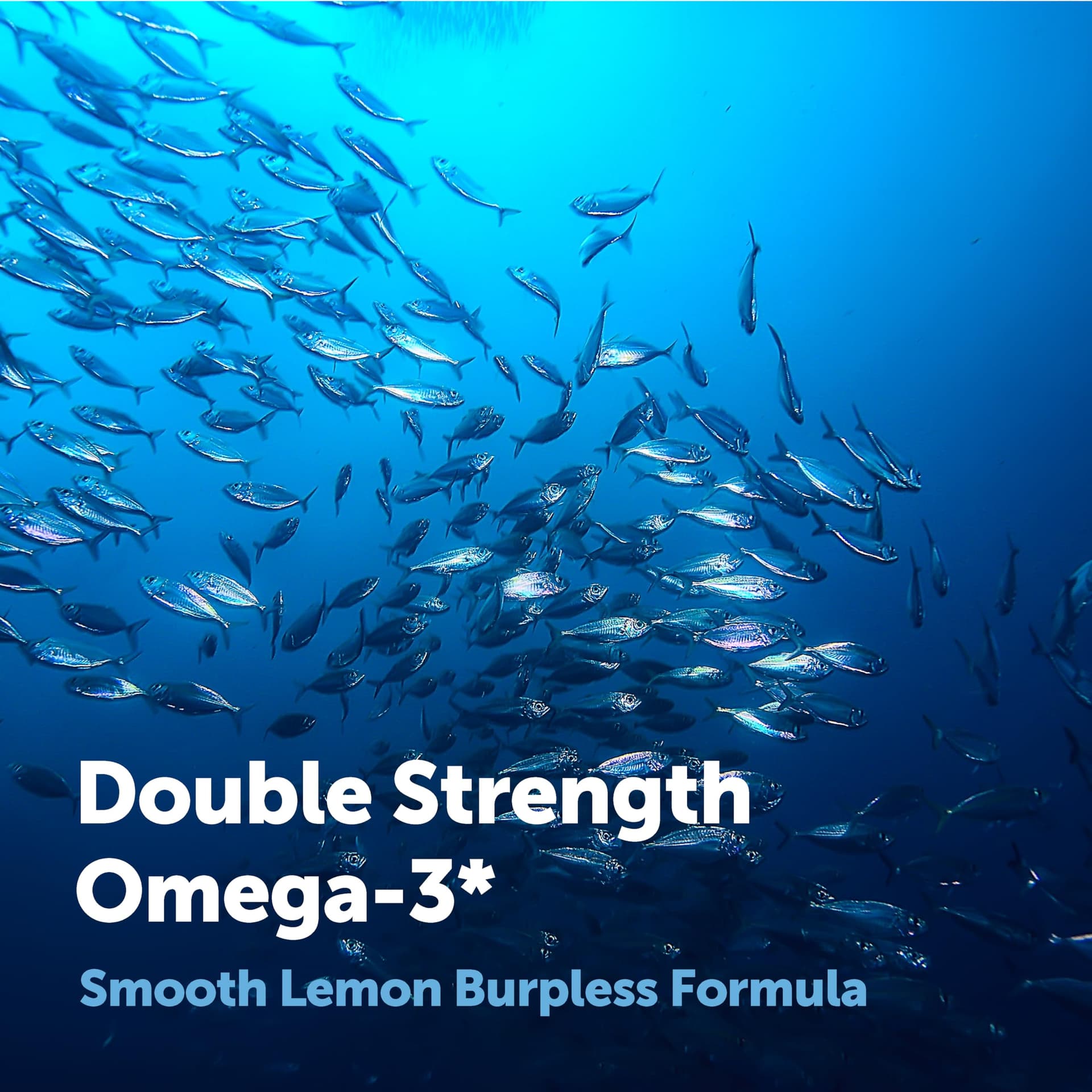 Micro Ingredients Omega 3 Fish Oil Supplements 3,000mg Per – Bild 5