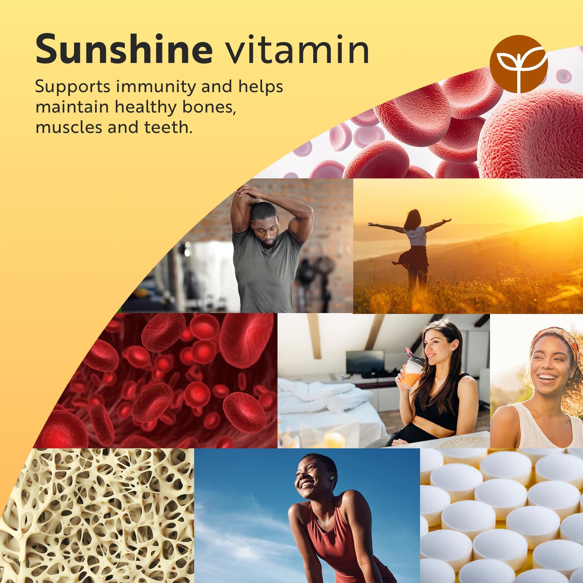 Nutravita Vitamin D3 4000 iu & Vitamin K2 100μg (MK7) – Bild 3