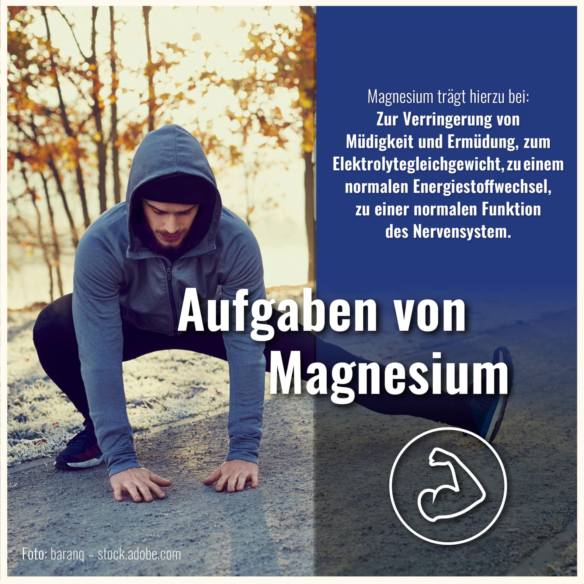 CDF Sports & Health Solutions Magnesium Bisglycinat hochdosiert Kapseln – Bild 3