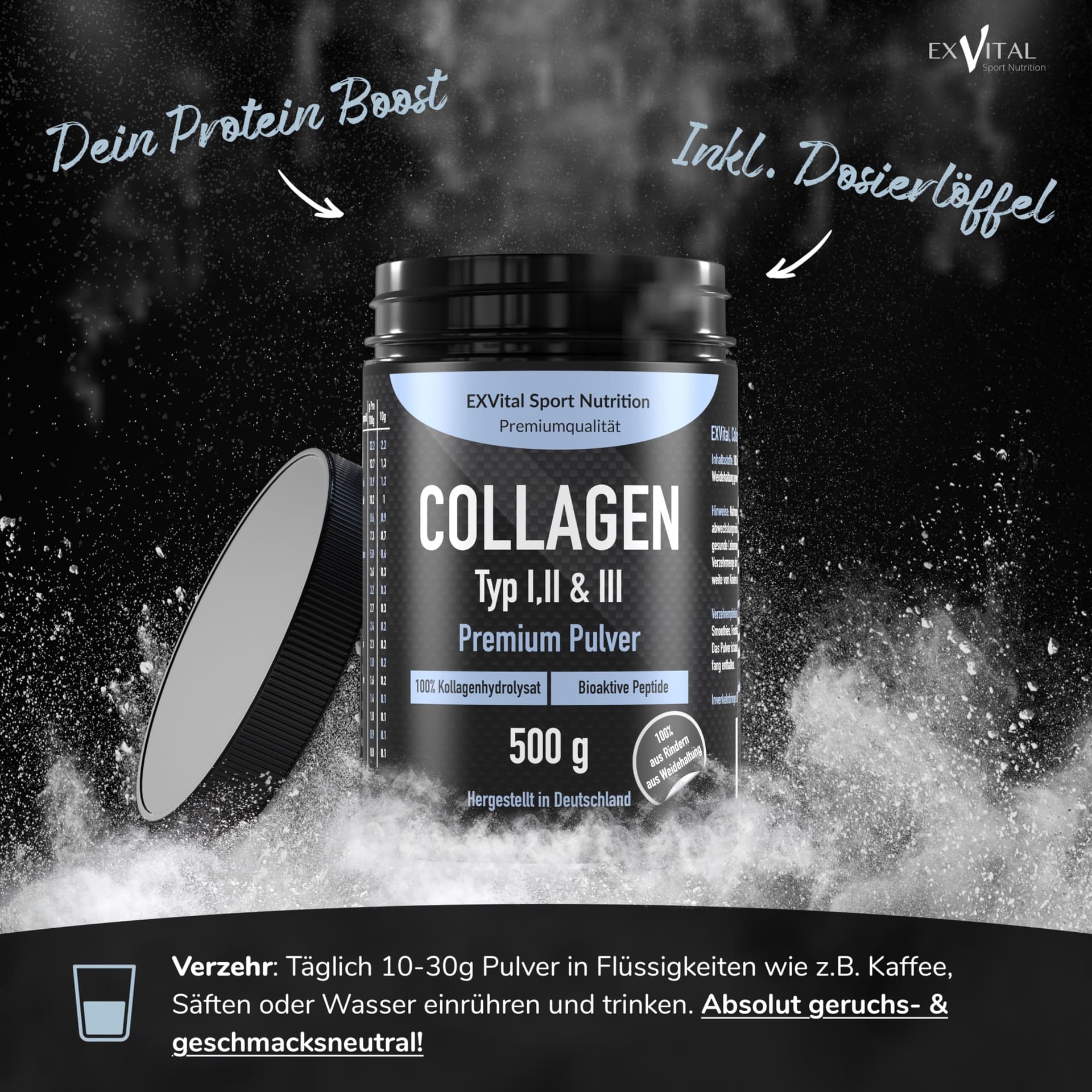EXVital Collagen Pulver 500 Gramm – Bild 3