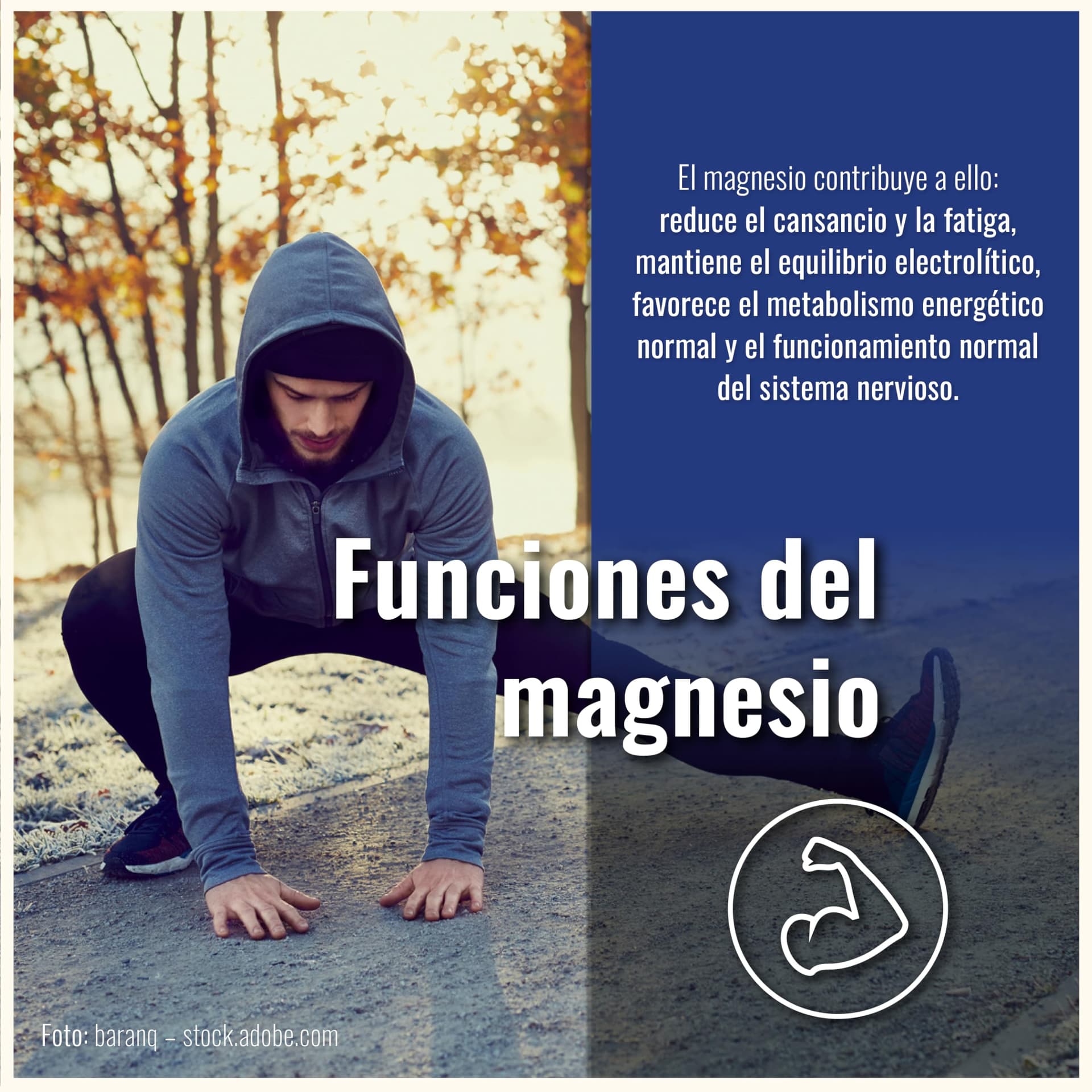 CDF Sports & Health Solutions Magnesio Bisglicinato Capsule – Bild 3